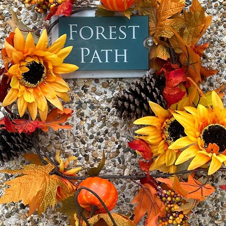 Forest Path Luxury Studio Apartment With Large Bedroom Bathroom And Sauna Sleeps Up To 4 Ballynahinch Dış mekan fotoğraf