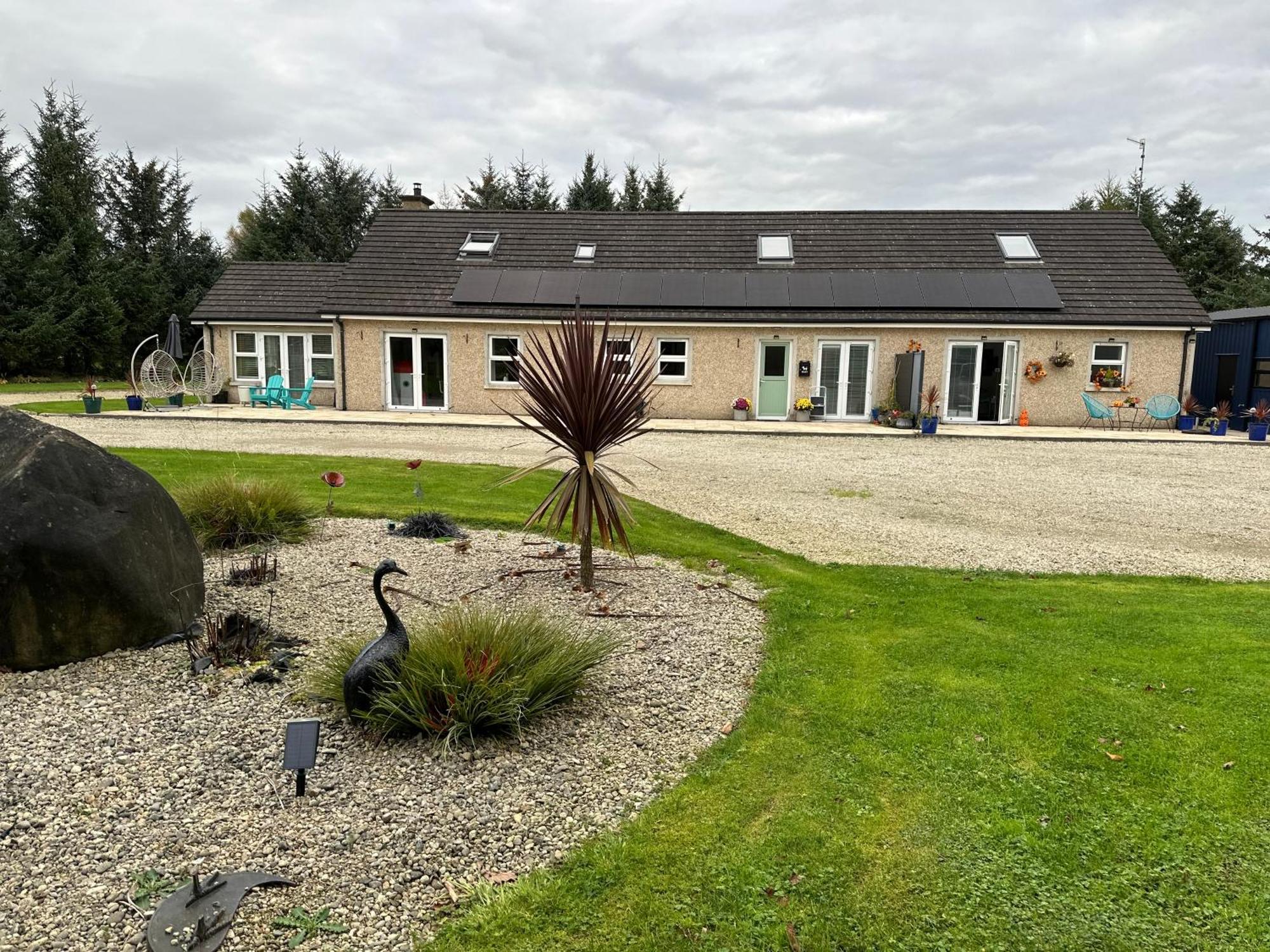 Forest Path Luxury Studio Apartment With Large Bedroom Bathroom And Sauna Sleeps Up To 4 Ballynahinch Dış mekan fotoğraf